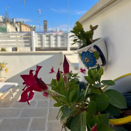 Guest house Sirama Deluxe